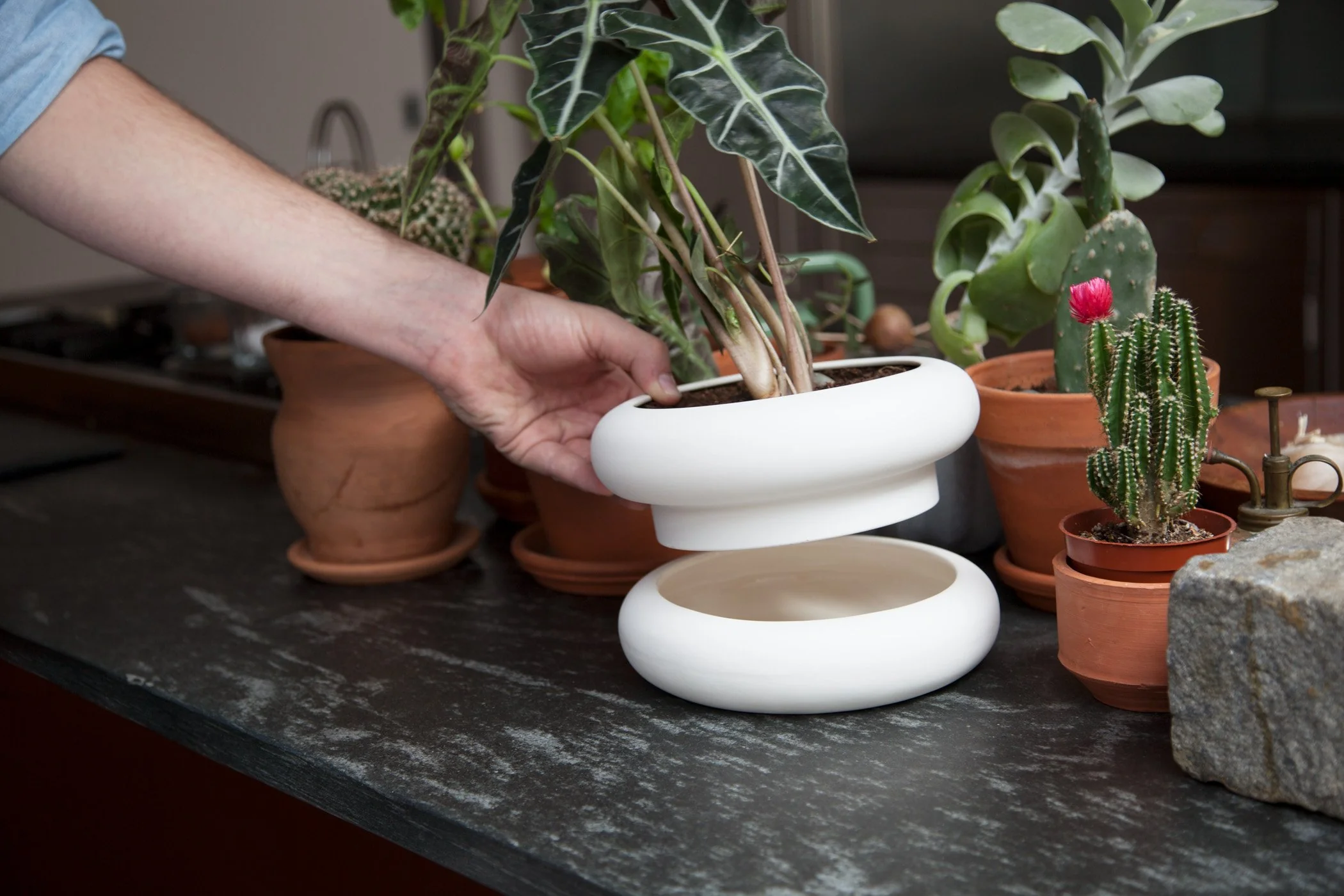 Stacking Planter - Short - Image 9